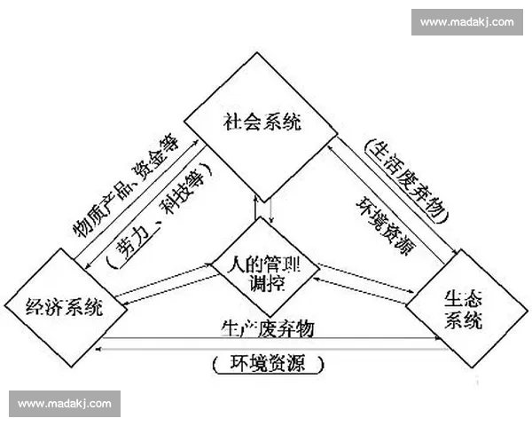 足球行业规范与发展趋势：推动公平竞争与可持续发展策略分析